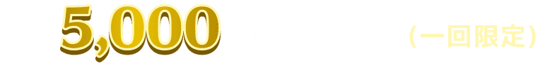 価格5,000DMMポイント（一回限定）